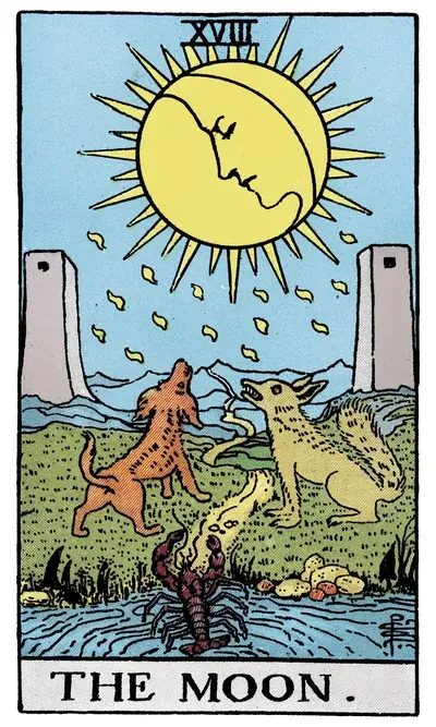 Library card